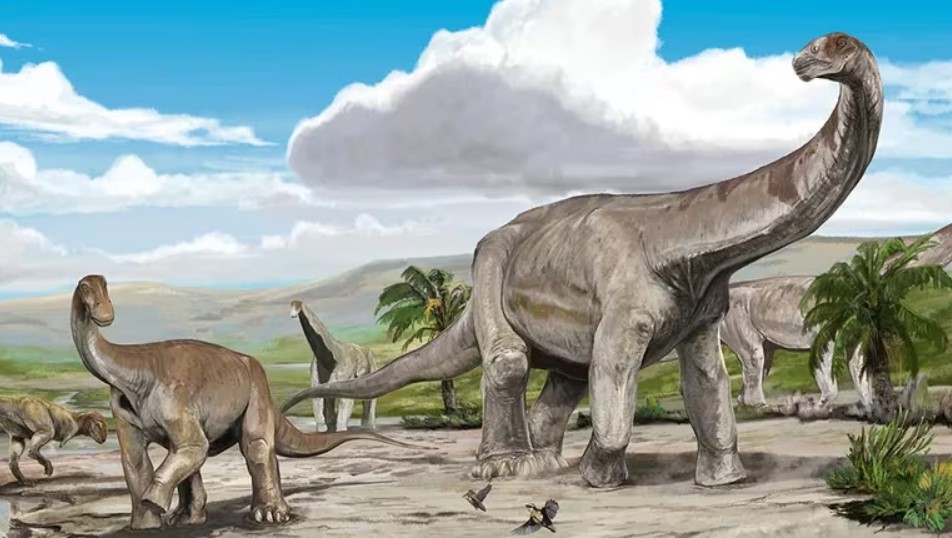 Los huesos descubiertos pertenecen a la especie de los titanosaurios.