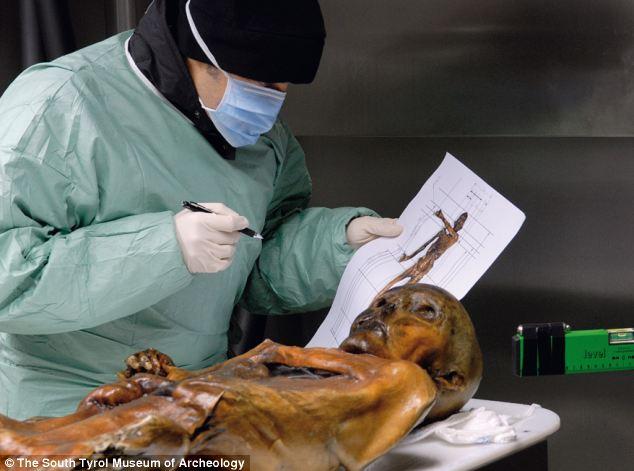 Encuentran misteriosos tatuajes en Ötzi, el "Hombre de Hielo" de mas de 5 mil años-0