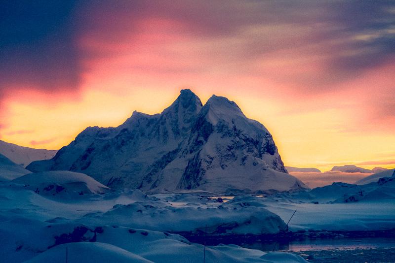 Descubren misteriosa nueva forma de vida en la Antártida-0