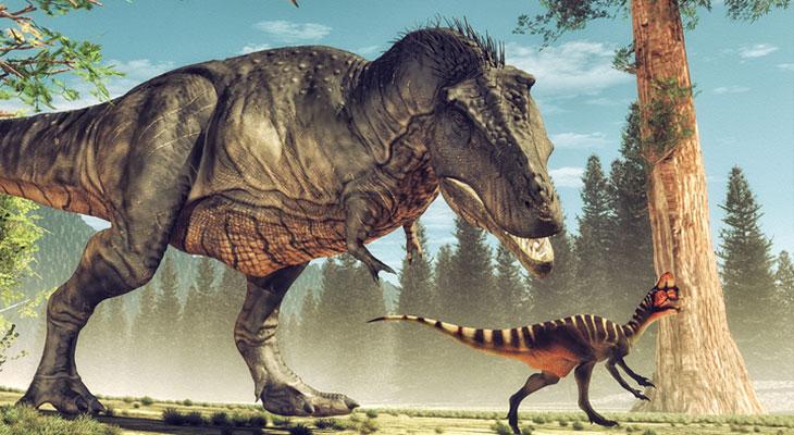 ¿De qué le servían al Tiranosaurio Rex sus diminutos brazos?-0