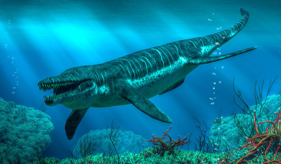 Revelan más detalles sobre el “Tiranosaurio Rex de los mares”-0